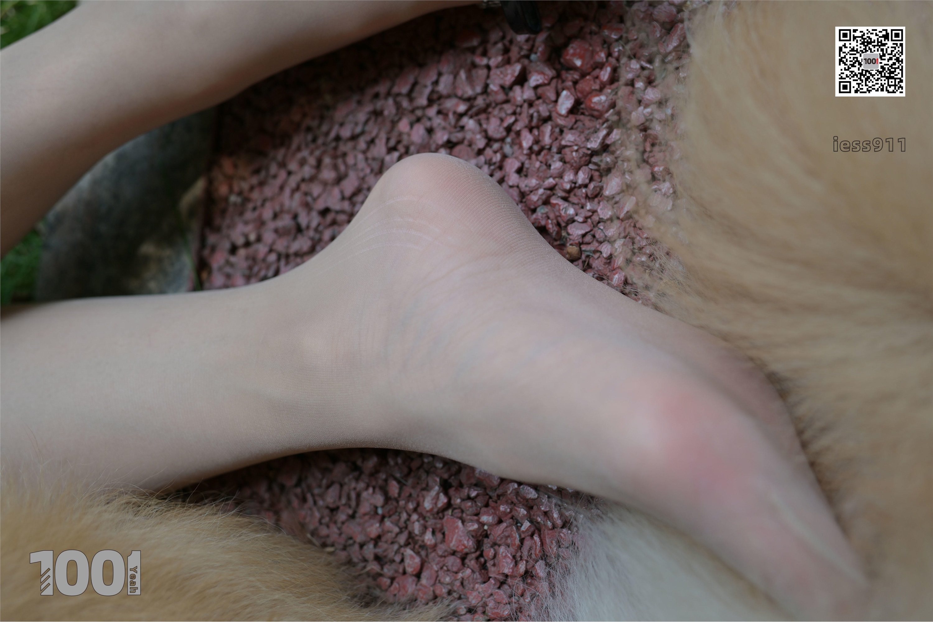 IESS异思趣向 一千零一夜 模特：真真《家有萌宠1》